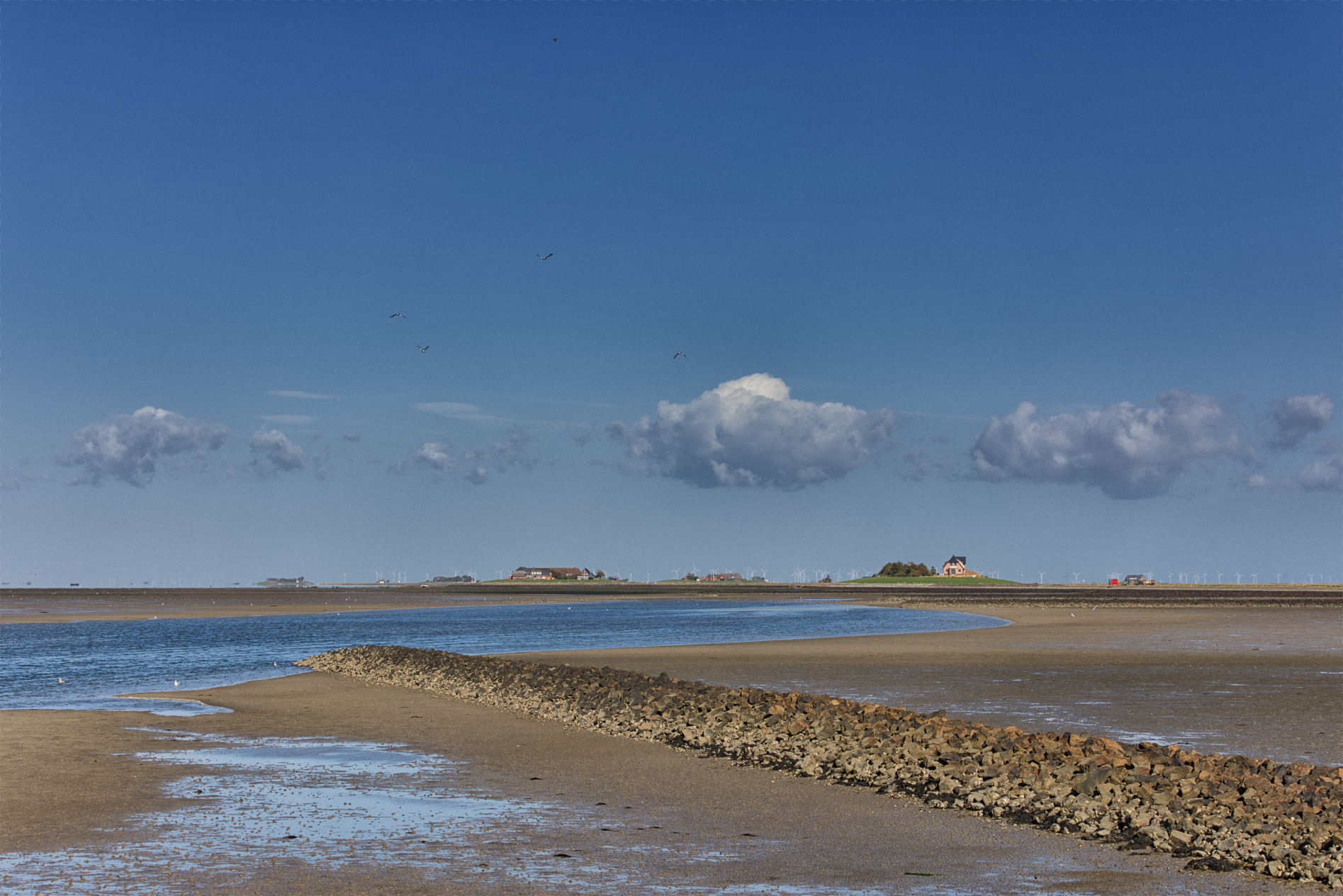 Hallig Langeneß hat uns wieder